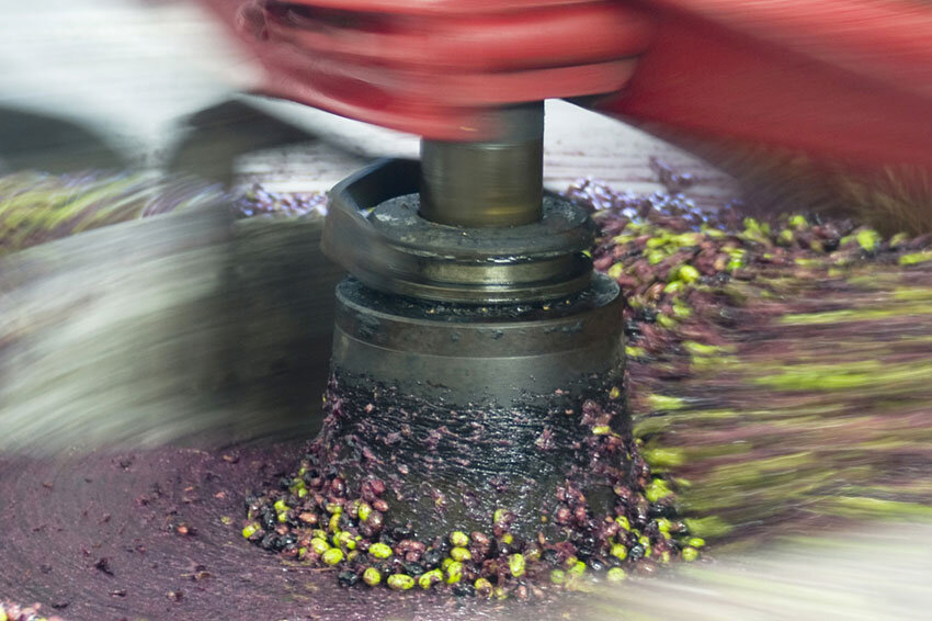 Oliven in der Ölmühle
