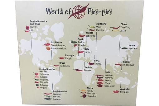 World Of Piri Piri